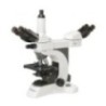 Labtron LMB-A14 Multi-viewing Biological Microscope