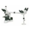 Labtron LMB-B12 Multi-viewing Biological Microscope
