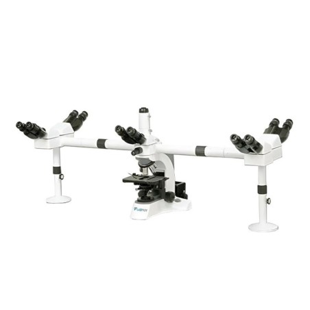 Labtron Multi-viewing Biological Microscope LMB-C10 image-1