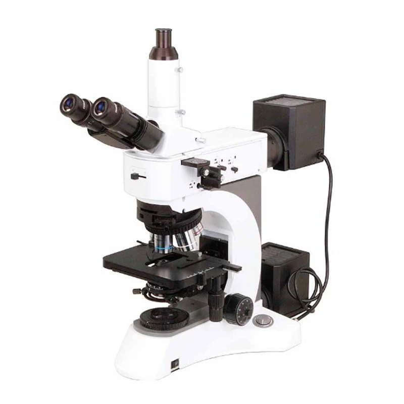 Labtron Upright Metallurgical Microscope LMM-B11 image-1