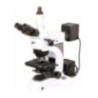 Labtron LMM-B12 Upright Metallurgical Microscope