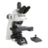 Labtron LMM-B30 Upright Metallurgical Microscope