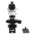  Labtron Upright Metallurgical Microscope LMM-B31 image-2