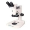Labtron LSM-B20 Stereo Microscope