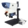 Wide Field Stereo Microscope ESM-F10