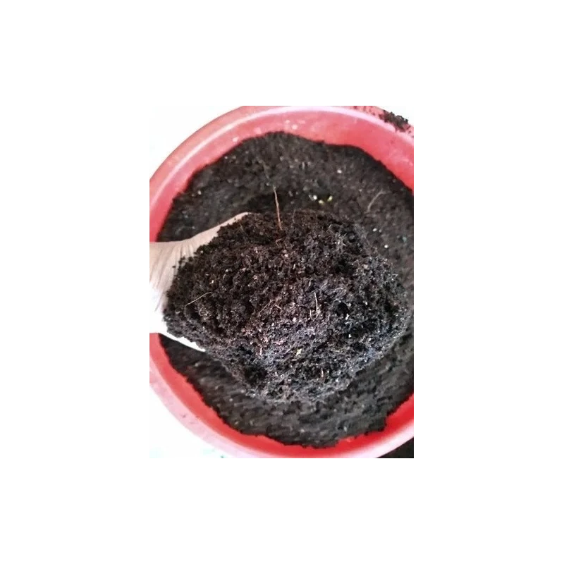 organic-composting-culture-15774