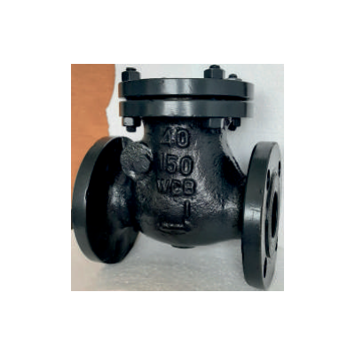 flange-end-swing-check-valve-12682