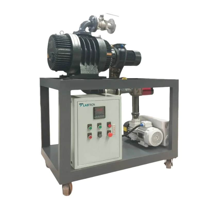  Labtron Vacuum Pump System LVPS-A10 image-2