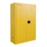 170 L Flammable Storage Cabinet EFSC-C10