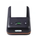  Labtron Thermal Printer LTP-A13 image-3