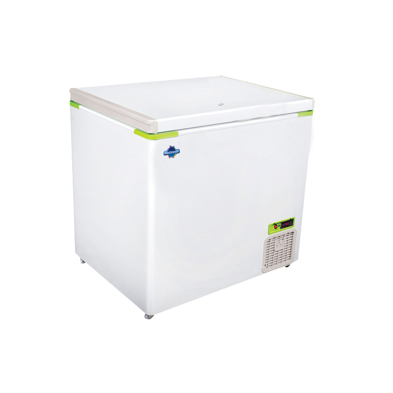 ice-lined-refrigerator-250-13923