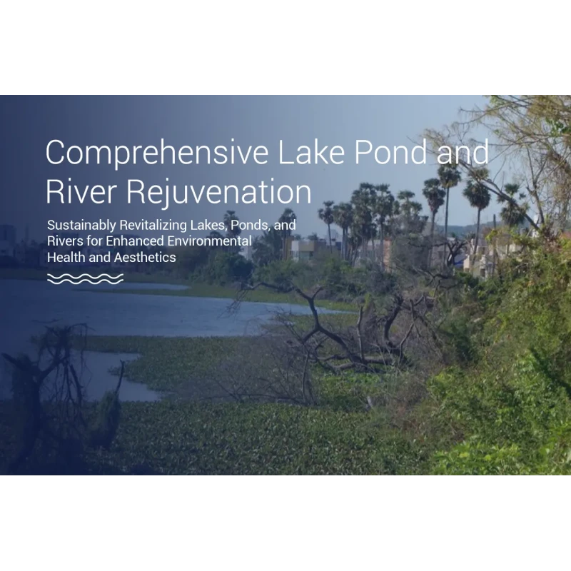 Expert River Rejuvenation Service for Ecosystem Revitalization