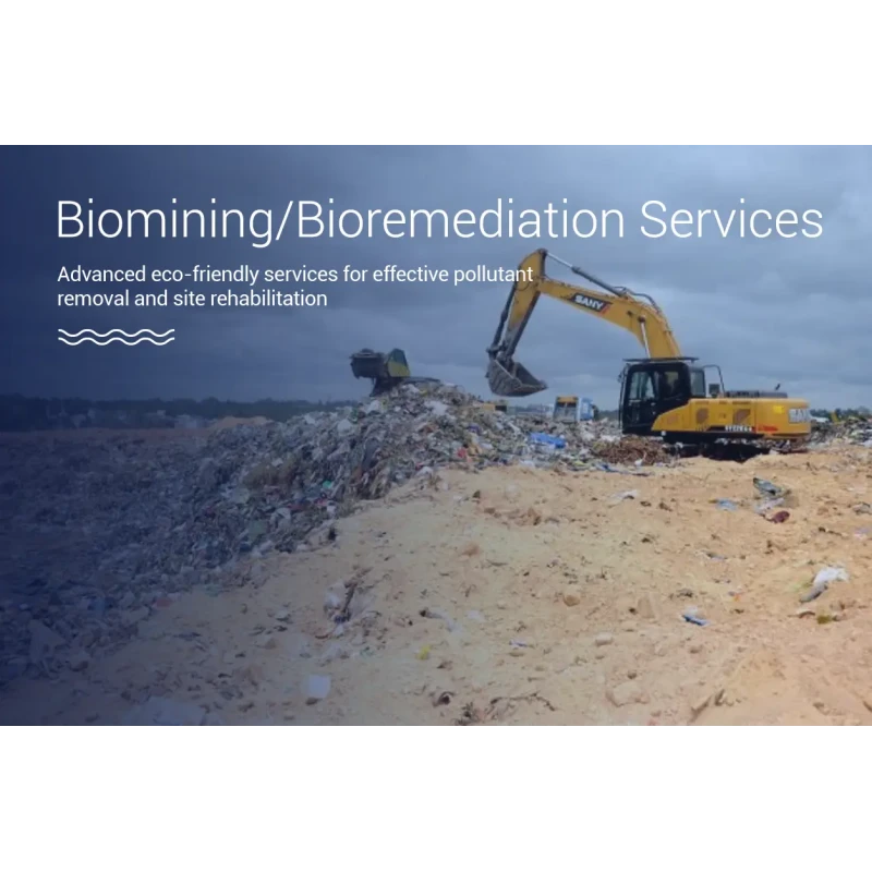 Biomining and Bioremediation Services for Soil Recovery