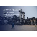 Carbon Sequestration Services to Reduce Global Warming Online