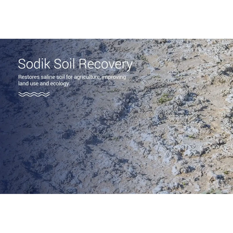 Get Sodic Land Reclamation Services for Soil Health Online