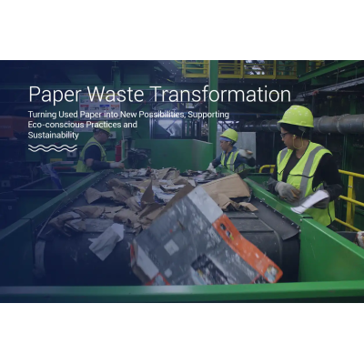 Paper Recycling Services to Save Trees & Energy Online