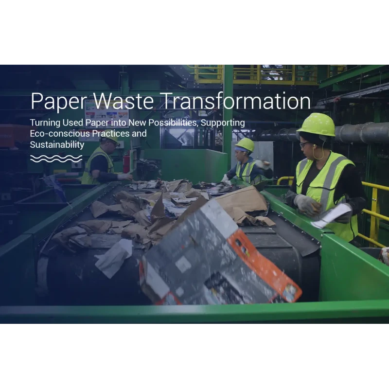 Paper Recycling Services to Save Trees & Energy Online