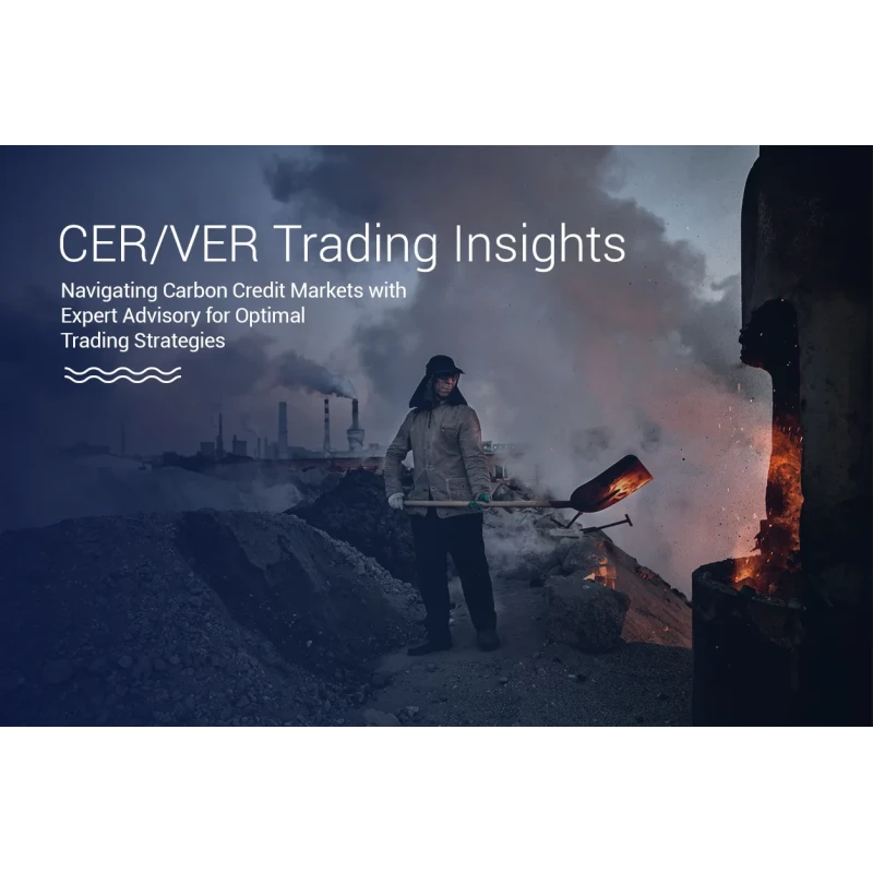 CER/VER Trading Services Navigate Carbon Credits Online