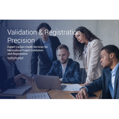Project Validation and Registration Services for Compliance