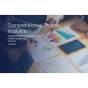 Detailed Project Report Service for Decision Making & Planning