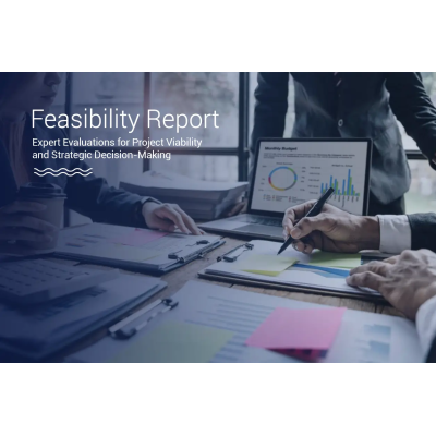 Feasibility Report Services for Project Analysis Online