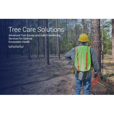 Tree Survey & Transferring Services for Conservation Online