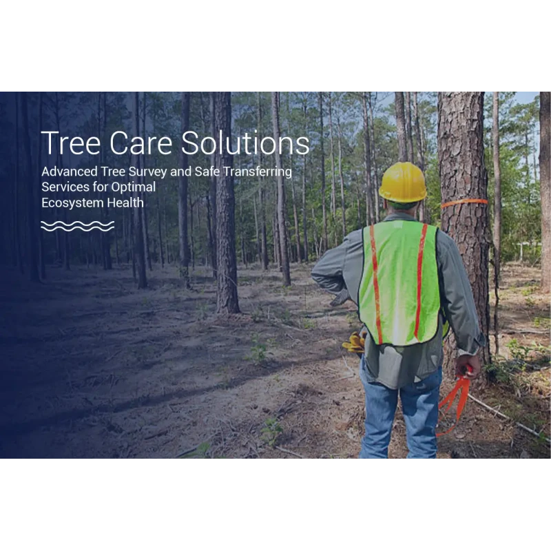 Tree Survey & Transferring Services for Conservation Online