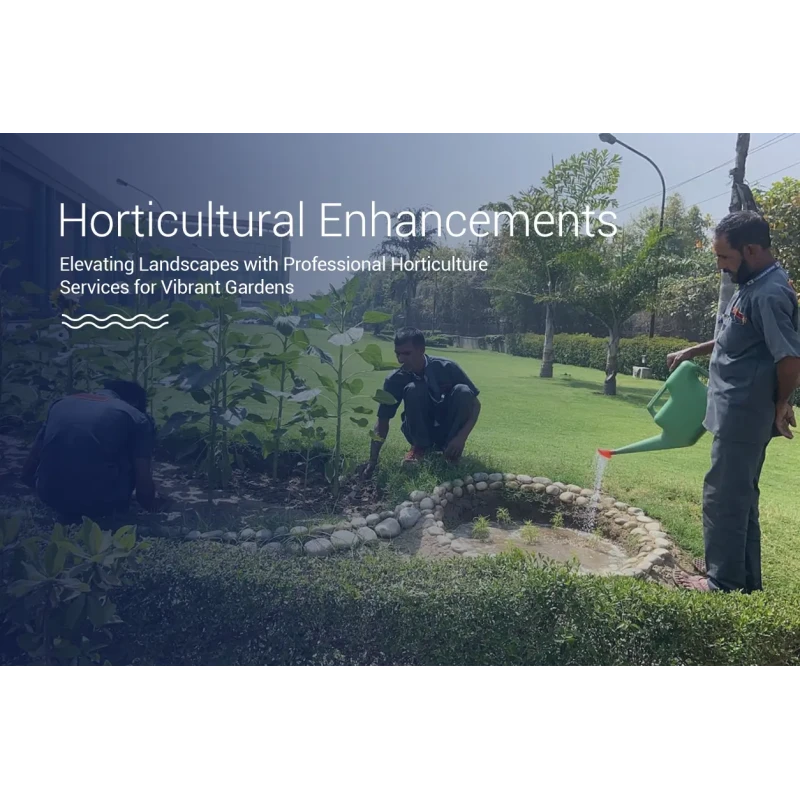 Get Horticulture Services for Beautiful Gardens Online