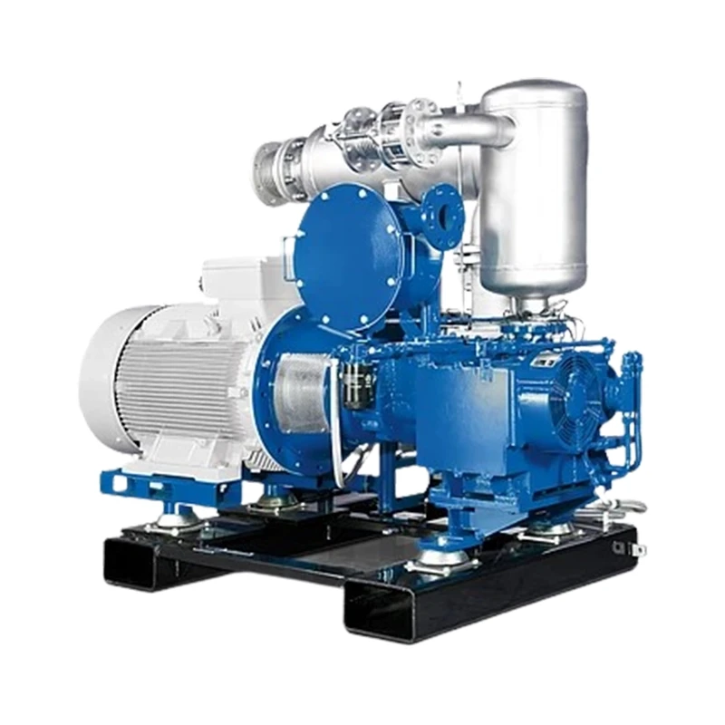 Buy Biogas Booster Pump 20-25 LPM Capacity at best price India