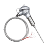 Mineral insulated RTD PT-100 Temperature Sensor
