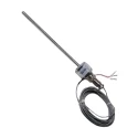Buy Resistance Temperature Detector PT100 at best price India