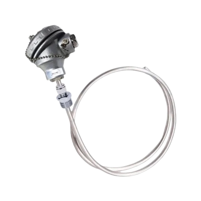 Buy SS Simplex Temperature Sensor PT200 at best price in India