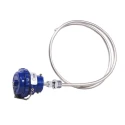 Buy Duplex Temperature Sensors -40 to 450 deg C at lowest price