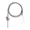 Buy RTD Sensors Probes With Fixed Fitting APES at lowest price