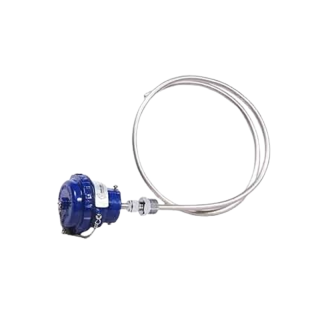 Buy SS Mineral Insulated RTD Sensor With Terminal Head PT100