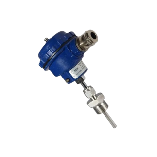 Buy PT 100 RTD Temperature Sensor at lowest price in India