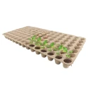 Buy Seed Starter Tray at best prices from Indian Manufacturers