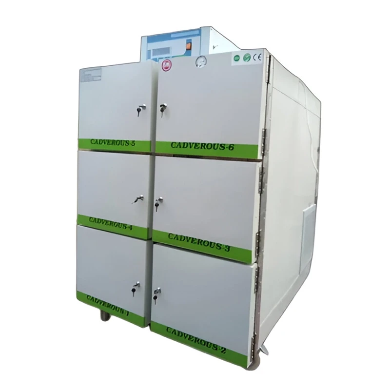 Buy Laboratory Mortuary Chambers at lowest price in India