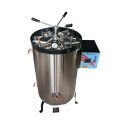 Buy Vertical Autoclave Double Walled Radial Locking GI002A
