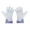 Ozar Leather with Cotton Work Gloves AGL-9101