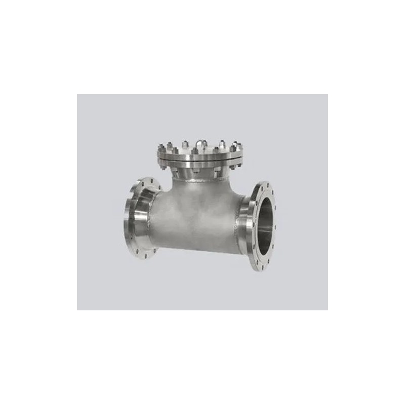 t-type-strainer-size-dimension-15nb-to-1500-nb-14019