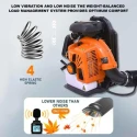 Neptune BPLP-63 3.5HP 2 Stroke 63cc Backpack Petrol Leaf Blower for Cleaning Dust