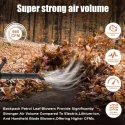 Neptune BPLP-63 3.5HP 2 Stroke 63cc Backpack Petrol Leaf Blower for Cleaning Dust