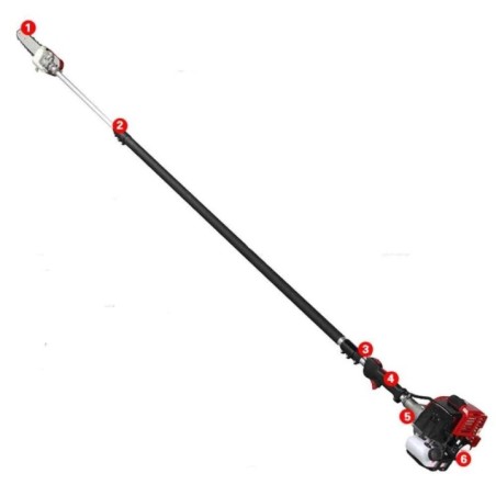 Neptune 26cc Telescopic Pole Pruner Saw with 12 Inch Cutting Bar image-1