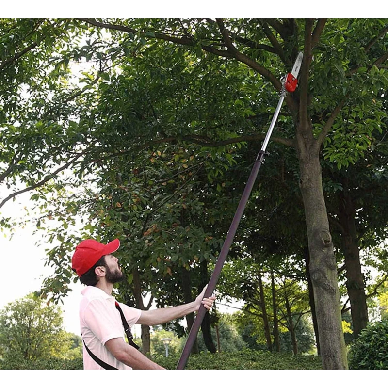 Neptune 26cc Telescopic Pole Pruner Saw with 12 Inch Cutting Bar image-3