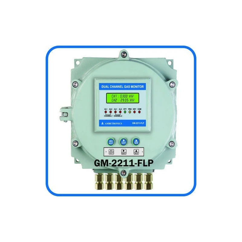 dual-channel-fixed-gas-monitor-flameproof-16970