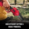 iBELL 8 inch 20V Cordless Chain Saw with 2Ah Battery & Charger BS20-08 image-4