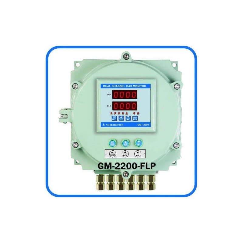 dual-channel-gas-monitor-17017
