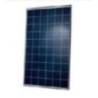 Eastman 160W Polycrystalline Solar Panel