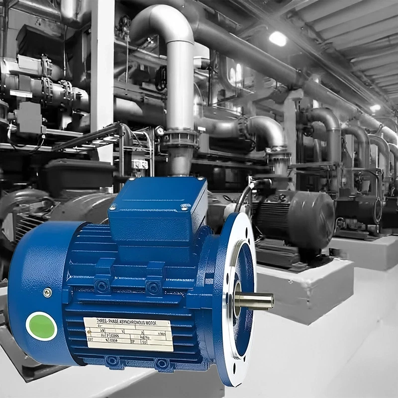 Crompton 2 HP Single Phase Electric Motor GF6856 Image-3